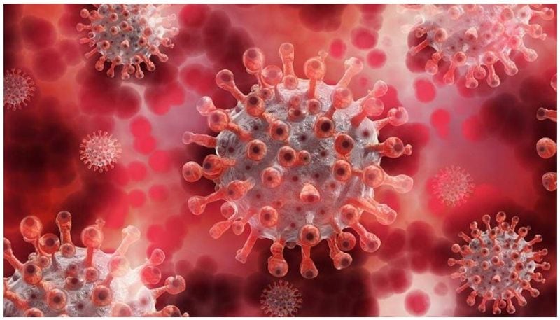 India on Friday registered 62,480 cases and 1,587 deaths due to the coronavirus disease (Covid-19), taking the caseload and death toll to 29,762,793 and 383,490 respectively, according to the Union health ministry.