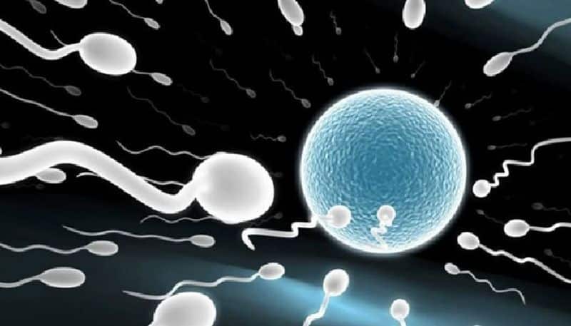 sperm can live three to five days in female genital tract