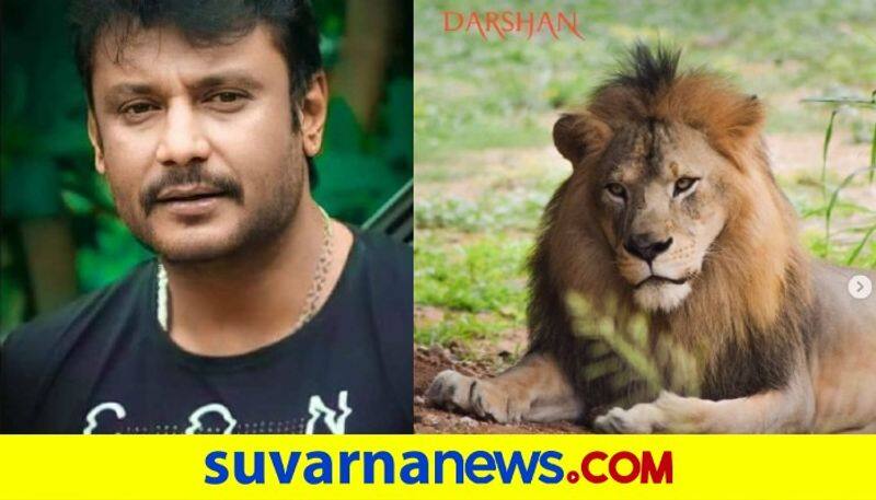 Forest Minister Aravind Limbavali thanks Darshan and fans for adopting animals from Karnataka zoo vcs