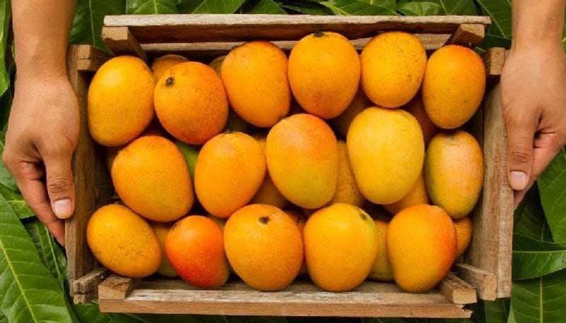 eating this fruit everyday to increase the sexual ability of men BRD