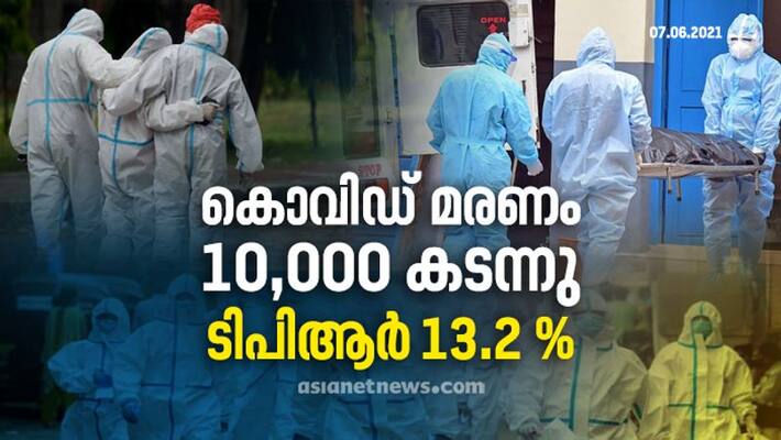 new cases and death numbers due to covid pandemic new cases and death numbers due to covid pandemic