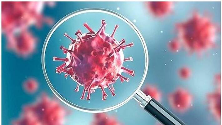 US report concluded Covid 19 may have leaked from Wuhan lab Report US report concluded Covid 19 may have leaked from Wuhan lab Report