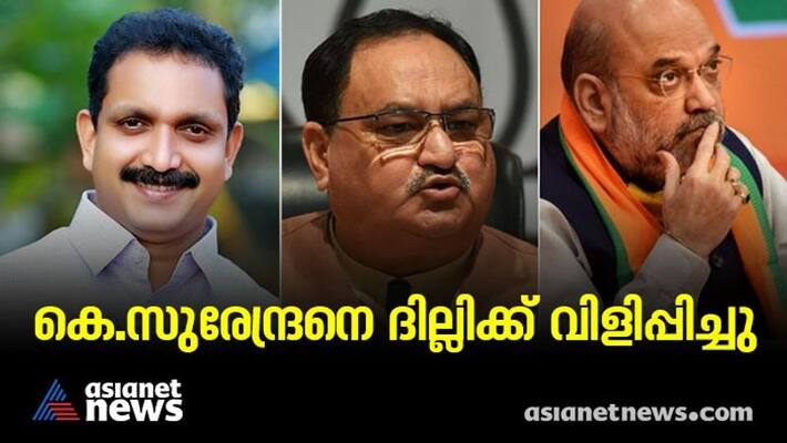 K surendran to meet JP Nadda and amit shah after new issues related to black money K surendran to meet JP Nadda and amit shah after new issues related to black money