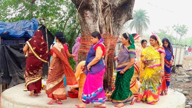 4. सुबह जल्दी पीपल के पेड़ पर जल चढ़ाएं। पीपल और वट वृक्ष की 108 परिक्रमा करें इससे दरिद्रता मिटती है।
