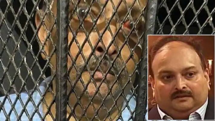 Dominica declares Mehul Choksi a prohibited immigrant KPP Dominica declares Mehul Choksi a prohibited immigrant KPP
