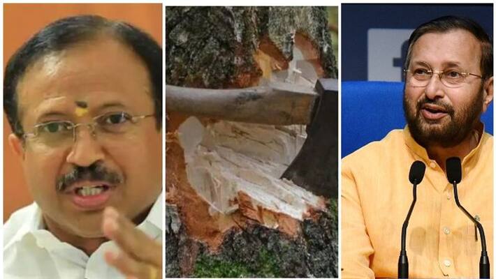 V Muraleedharan will visit Muttil V Muraleedharan will visit Muttil