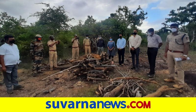 ಚಾಮರಾಜನಗರ ಜಿಲ್ಲೆಯ ಗುಂಡ್ಲುಪೇಟೆ ತಾಲೂಕಿನ ಬಂಡೀಪುರ ಹುಲಿ ಸಂರಕ್ಷಿತಾರಣ್ಯದಲ್ಲಿ ಹುಲಿ ಸಾವನ್ನಪ್ಪಿದೆ.