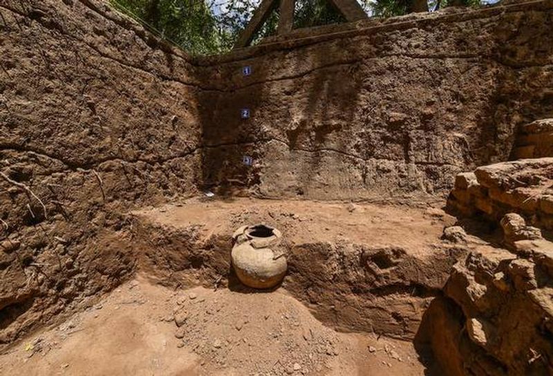 സംസ്ഥാന ആർക്കിയോളജി വകുപ്പും വിവിധ സർവകലാശാലകളും ഉൾപ്പെടെ വിവിധ ഏജൻസികളാണ് തമിഴ്നാട്ടില് പത്തിൽ കൂടുതൽ ഉദ്ഖനനങ്ങള് ഒരേ സമയം നടത്തുന്നത്. തിരുവല്ലൂർ ജില്ലയിലെ ചെൻറയൻപാളയത്തിൽ ശർമ സെന്റര് ഫോർ ഹെറിറ്റേജ് എജ്യുക്കേഷൻ ഖനനം നടത്തുന്നു. ശിവഗംഗ ജില്ലയിലെ ഇലന്തകരായിയിൽ അലഗപ്പ സർവകലാശാലയും കോയമ്പത്തൂർ ജില്ലയിലെ മൂലപാളയത്ത് തമിഴ് സർവകലാശാലയും ഉദ്ഖനന പദ്ധതികളുമായി മുന്നോട്ട് പോകുന്നു.