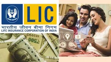 LIC Q2 results: LIC's net profit declines by 50 per cent, Shareholders' concern RMA LIC Q2 results: LIC's net profit declines by 50 per cent, Shareholders' concern RMA
