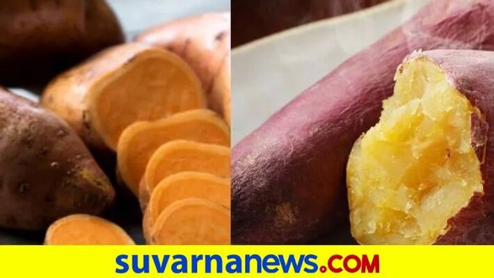 Sweet potato is rich with all nutrients and body required Sweet potato is rich with all nutrients and body required