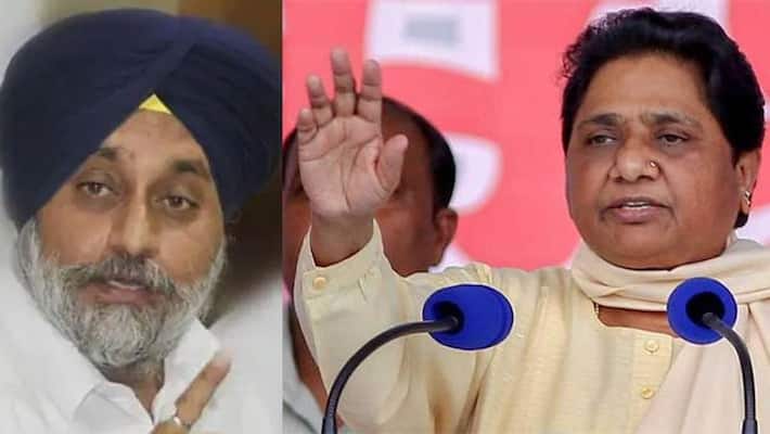 Akali Dal Badal announces alliance with BSP for Punjab assembly elections pod Akali Dal Badal announces alliance with BSP for Punjab assembly elections pod
