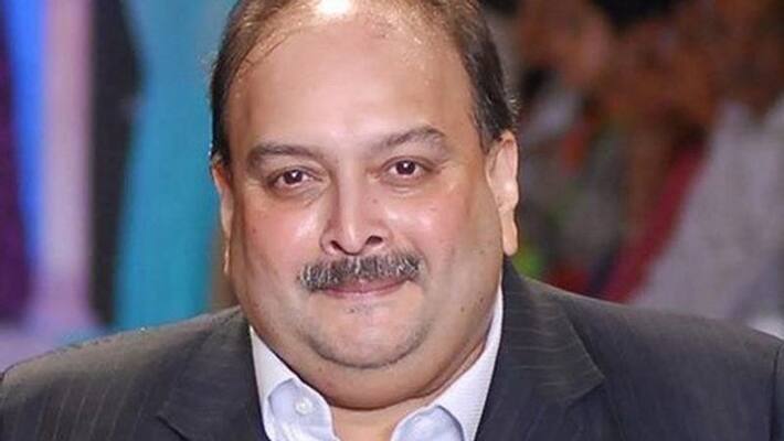 Mehul Choksi is and international fugitive CBI informed Dominica Court KPP Mehul Choksi is and international fugitive CBI informed Dominica Court KPP