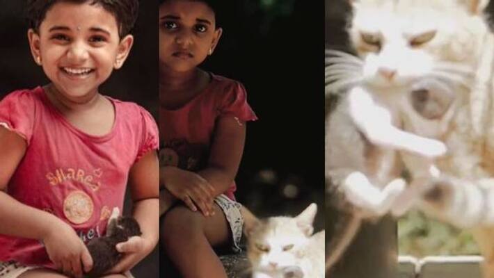 kunjappoo baby and cat viral photoshoot video kunjappoo baby and cat viral photoshoot video