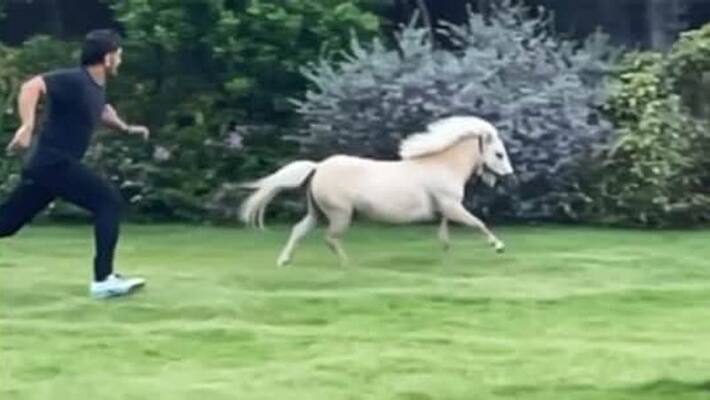 MS Dhoni races With A Pony, Wife Sakshi Shares Video, see here dva MS Dhoni races With A Pony, Wife Sakshi Shares Video, see here dva