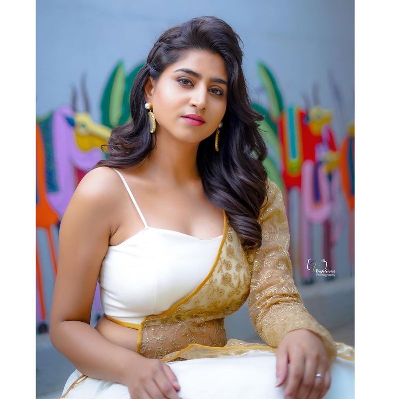 మోడలింగ్తో కెరీర్ని ప్రారంభించిన వర్షిణి హీరోయిన్గా ఎదగాలనుకుంది. కానీ కాలం కలిసి రాలేదు. అదృష్టం వరించలేదు.