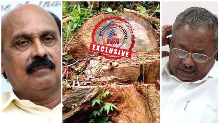 controversial tree felling order was approved by forest revenue ministers reveals documents controversial tree felling order was approved by forest revenue ministers reveals documents