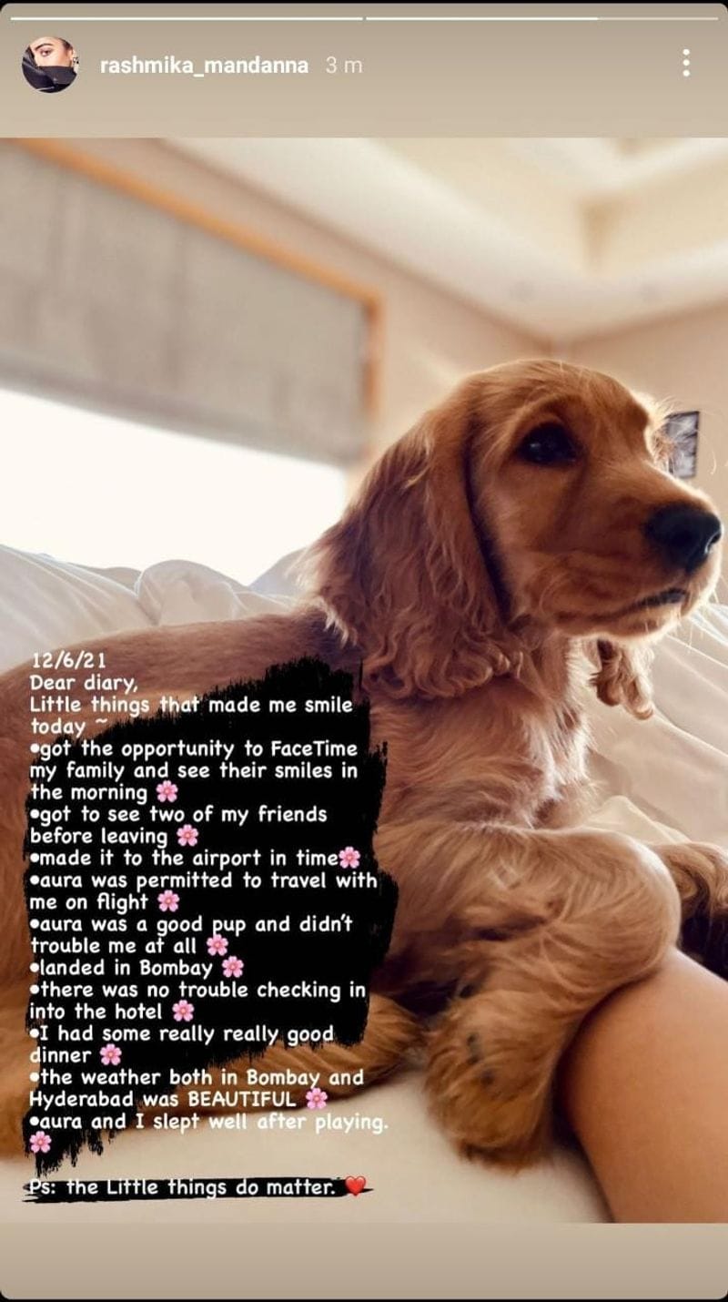 Sharing a picture of her adorable pup, 'Aura', she wrote about the little things that made her heart full. She wrote, "12/6/21
Dear Diary,
Little things that made me smile today -
*got the opportunity to FaceTime my family and see their smiles in the morning ๐ธ
*got to see two of my friends before leaving ๐ธ
*made it to the airport in time ๐ธ
*Aura was permitted to travel with me on flight ๐ธ
*Landed in Bombay ๐ธ
*there was no trouble checking in the hotel ๐ธ
*I had some really really good dinner ๐ธ
*the weather both in Bombay and Hyderabad was BEAUTIFUL ๐ธ
*Aura and I slept well after playing. ๐ธ
Ps: The little things do matter. โค๏ธ "