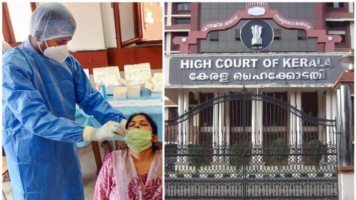 plea against rtpcr rate verdict on monday plea against rtpcr rate verdict on monday