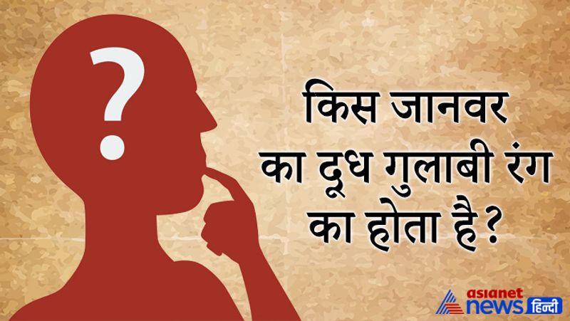 सवाल- किस जानवर का दूध गुलाबी रंग का होता है?
जवाब- हिप्पो जानवर का दूध गुलाबी रंग का होता है। 