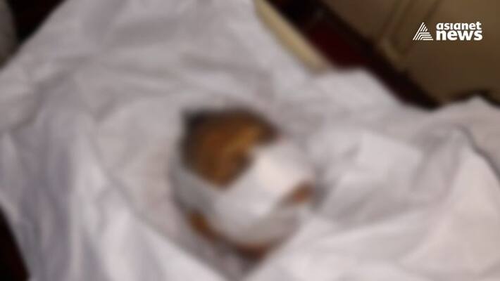 Rats chew womans body kept in private hospitals mortuary Rats chew womans body kept in private hospitals mortuary