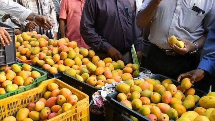 central government approval for export of Indian mangoes to USA this season central government approval for export of Indian mangoes to USA this season