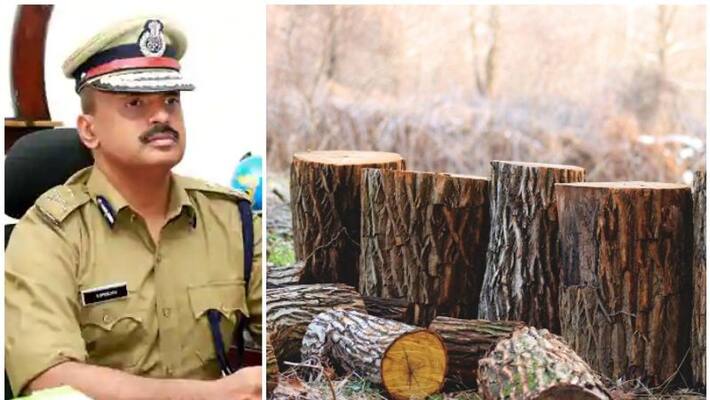 adgp s srijith on muttil tree felling case adgp s srijith on muttil tree felling case
