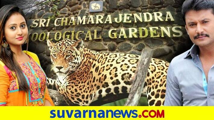 Kannada Actress Amulya and her new friend in Karnataka zoo Kannada Actress Amulya and her new friend in Karnataka zoo