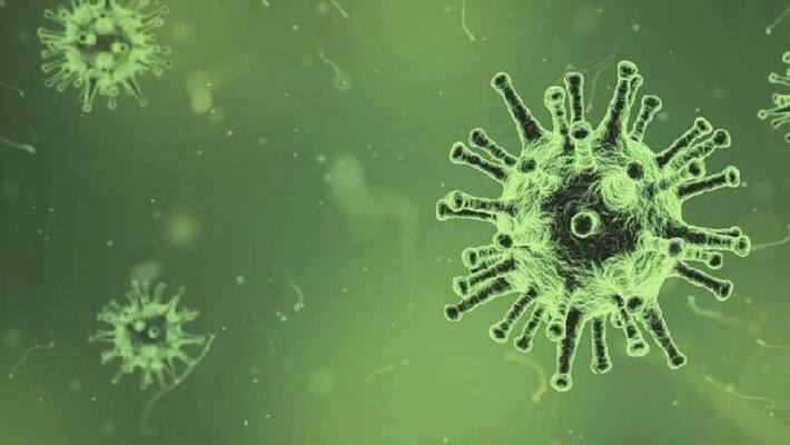 Green Fungus Case Reported In Madhya Pradesh Green Fungus Case Reported In Madhya Pradesh
