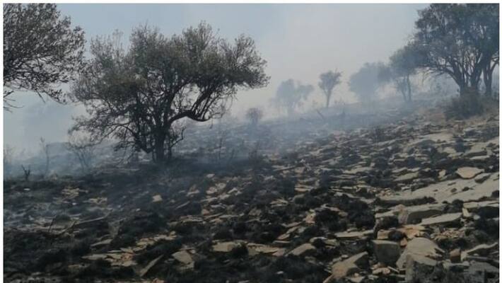 Firefighters to control wildlife fire in Al Hamra oman Firefighters to control wildlife fire in Al Hamra oman