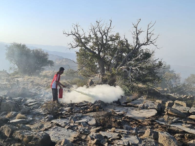 Al Hamra wildfire 70 percent controlled