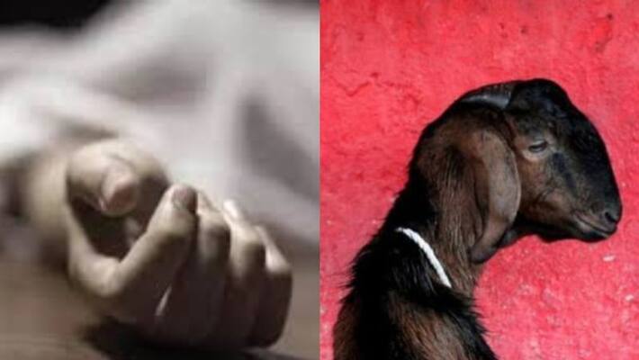 man hangs self after upset about sale of his goat man hangs self after upset about sale of his goat