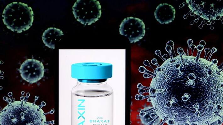 Covaxin effectively neutralises Alpha, Delta COVID-19 variants, says top US Health Institute-dnm Covaxin effectively neutralises Alpha, Delta COVID-19 variants, says top US Health Institute-dnm