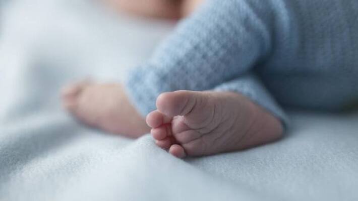 Web Developer Names Newborn Son HTML Web Developer Names Newborn Son HTML