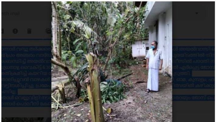 The old man's farm was cut down and destroyed by a neighbour The old man's farm was cut down and destroyed by a neighbour