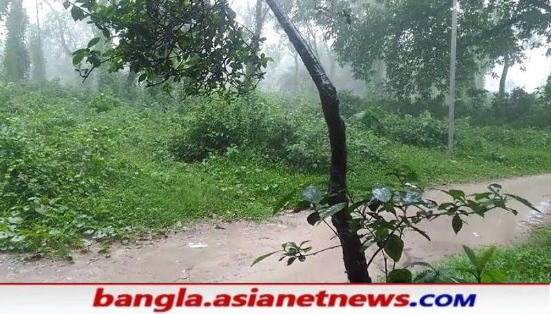  যার দরুণ দুই মেদিনীপুর, দক্ষিণ ২৪ পরগনা, পশ্চিম বর্ধমান এবং বীরভূমের কয়েকটি জায়গায় ভারী থেকে অতি ভারী বৃষ্টি হওয়ার সম্ভাবনা রয়েছে। বাকি দক্ষিণবঙ্গ এবং উত্তরবঙ্গের জেলাগুলিতে শুধু ভারী বৃষ্টি হবে।
