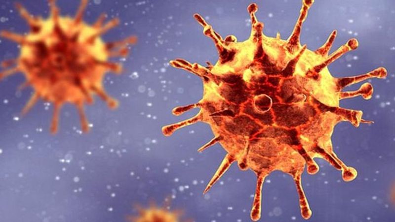 India on Monday recorded a significant drop in Covid-19 cases with 53,256 new infections, the lowest in 88 days since March 24. It is also the 14th consecutive day when India has reported less than one lakh new coronavirus cases.
