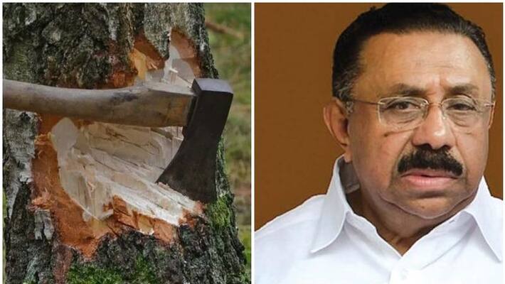 muttil tree felling UDF will hold dharnas in 1000 centers muttil tree felling UDF will hold dharnas in 1000 centers