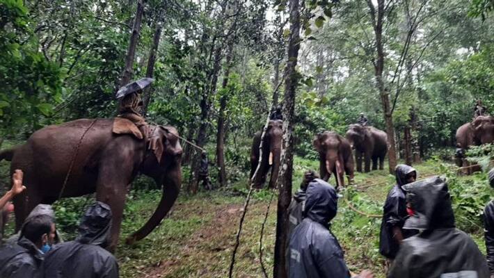 The wounded elephant locked into the crib in wayanad The wounded elephant locked into the crib in wayanad