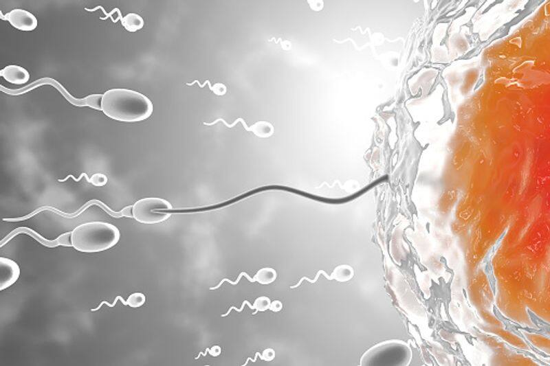 Tips to increase sexual performance and sperm count