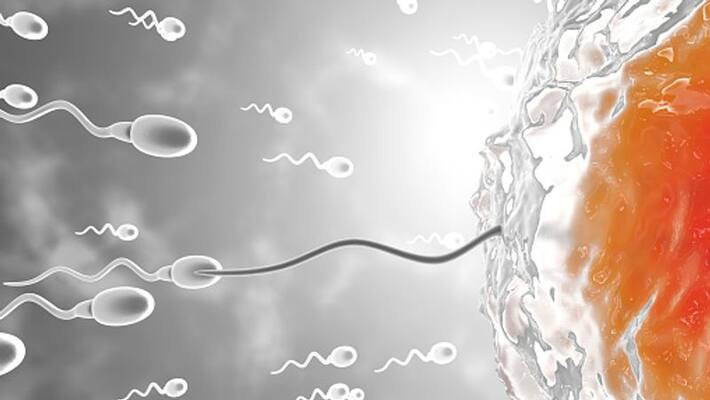 Air pollution affecting ability of sperms to swim in right direction: recent Study Air pollution affecting ability of sperms to swim in right direction: recent Study