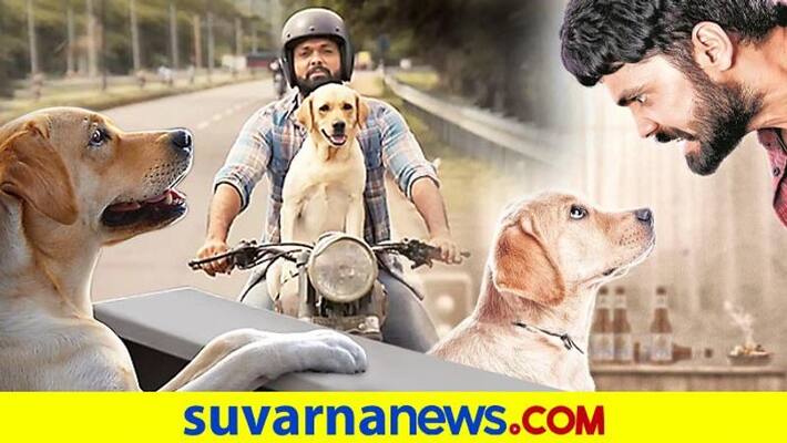 How a abandoned dog become hero of movie 777 Charlie How a abandoned dog become hero of movie 777 Charlie