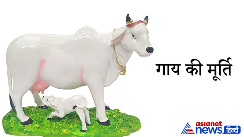 गाय
हिंदू धर्म में गाय को पूजनीय माना जाता है। वास्तु के अनुसार, घर पर पीतल की बनी हुई गाय की मूर्ति रखना बहुत शुभ माना जाता है। जिन दंपति को संतान प्राप्ति की कामना है उन्हें पीतल से बनी गाय की प्रतिमा रखनी चाहिए। मान्यता है कि इससे संतान सुख प्राप्ति की कामना पूरी होती है। पढ़ाई करने वालों के लिए भी गाय की प्रतिमा रखना अच्छा रहता है। इससे पढ़ाई में एकाग्रता बढ़ती है।