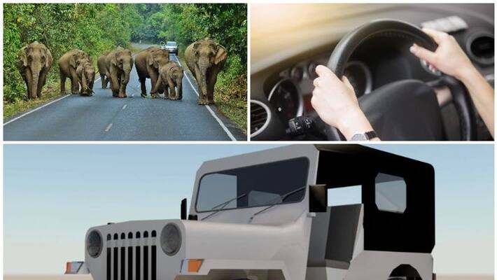 Elephant attacked a running car at Idukki Elephant attacked a running car at Idukki