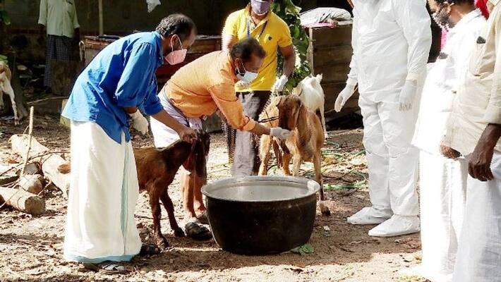 The whole family was affected by the covid, an organisation took care of isolated pets The whole family was affected by the covid, an organisation took care of isolated pets