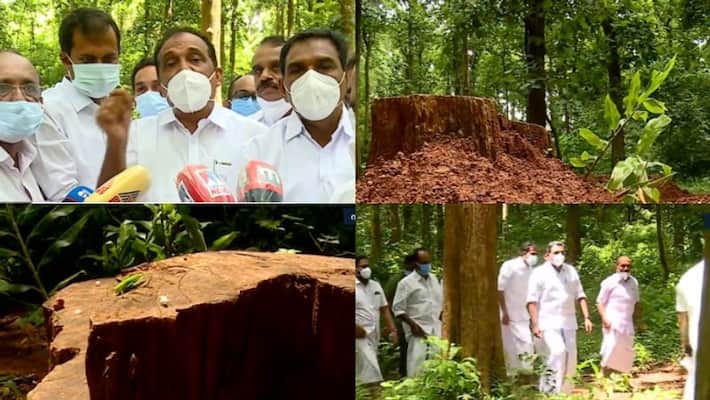 UDF Leaders visited konni kalleli forest UDF Leaders visited konni kalleli forest