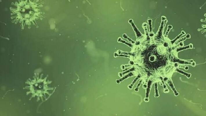 green fungus case reported in punjab after madhya pradesh green fungus case reported in punjab after madhya pradesh