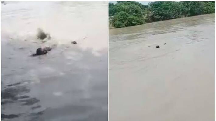UP Cop Sees Man Drowning, Jumps Into Canal, Pulls Him To Safety UP Cop Sees Man Drowning, Jumps Into Canal, Pulls Him To Safety