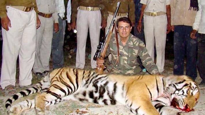 Tigress Avni killer Asghar Ali Khan serves notice on Sherni filmmakers ksp Tigress Avni killer Asghar Ali Khan serves notice on Sherni filmmakers ksp