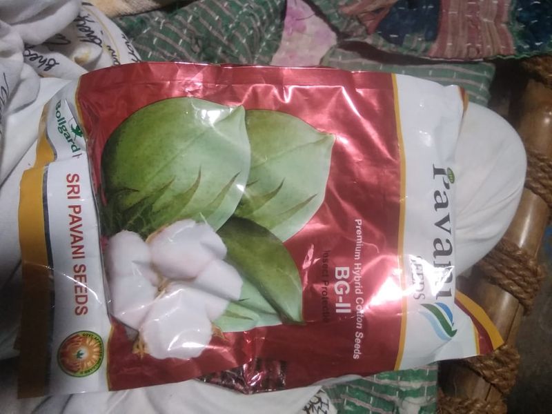 ನಕಲಿ ಬಿತ್ತನೆ ಬೀಜಗಳ ಬಗ್ಗೆ ತೆಲಂಗಾಣದ ಪತ್ರಿಕೆಗಳಲ್ಲಿ ಪ್ರಕಟಗೊಂಡ ವರದಿಯನ್ನು ಆಧರಿಸಿ, ಅಲ್ಲಿನ ವಿಕಾರಾಬಾದ್ ಜಿಲ್ಲೆಯ ಕೊಡಂಗಲ್ ಕೃಷಿ ಅಧಿಕಾರಿ ಎ. ಬಾಲಜಿ ಪ್ರಸಾದ್ ನೇತೃತ್ವದ ತಂಡ ಖಚಿತ ಮಾಹಿತಿ ಮೇರೆಗೆ ಕೊಡಂಗಲ್ ಮಂಡಲ ವ್ಯಾಪ್ತಿಯ ಅಂಗಡಿ ರಾಯಚೂರ್ ಗ್ರಾಮದ ರೈತ ಇಂಗುಲ ಚಿನ್ನಬಾಲಪ್ಪ ಬಸ್ಸಪ್ಪ ಮನೆಗೆ ದಾಳಿ ನಡೆಸಿತ್ತು.