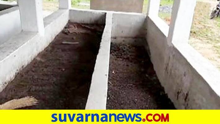 800 kg cow dung worth Rs 1600 stolen Chhattisgarh case registered mah 800 kg cow dung worth Rs 1600 stolen Chhattisgarh case registered mah